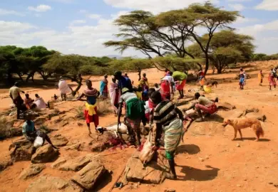 Over 2 million people at risk of starvation as drought worsens in Kenya