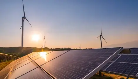 OPINION: Policy as a catalyst for green growth in East Africa